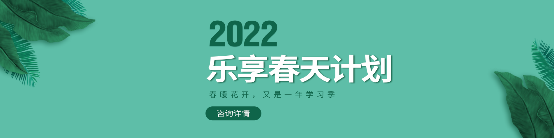 黄色操逼视频网站免费